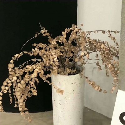 Furry插画光影处理兽圈社群